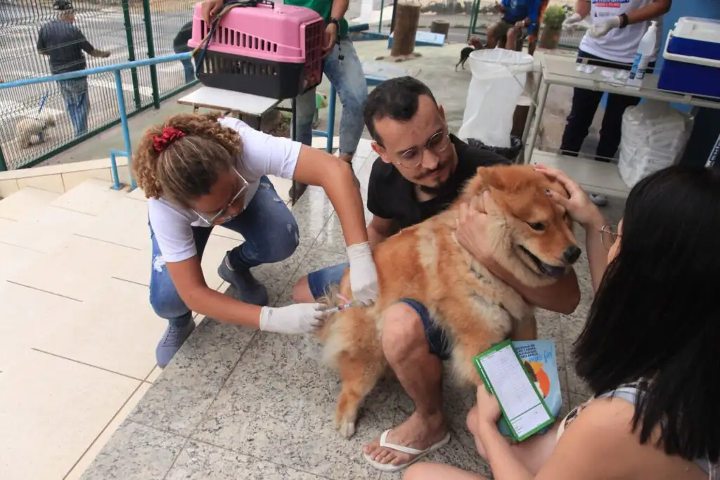 Vacinacao Antirrabica Caes Gatos Timoteovacinacao Antirrabica Sa Aqui Nota Cias Nota Cias 1024x683.jpg